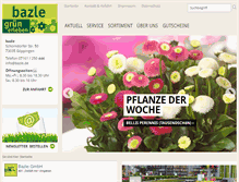 Tablet Screenshot of bazle.de